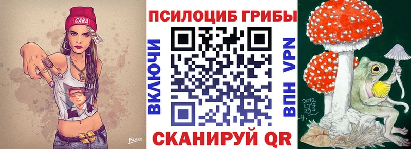 наркотики  Рошаль  это наркотические препараты  Галлюциногенные грибы Psilocybine cubensis 